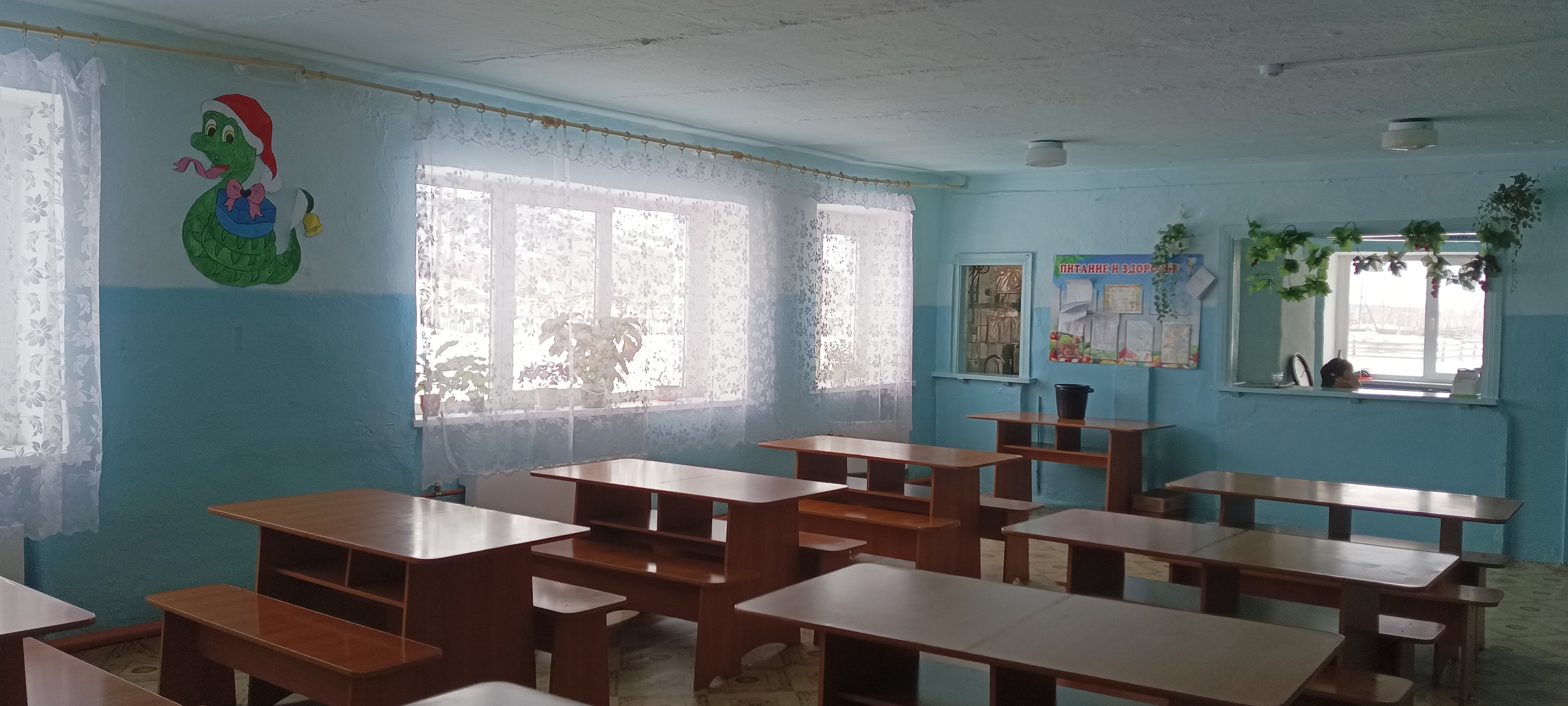 Школьная столовая